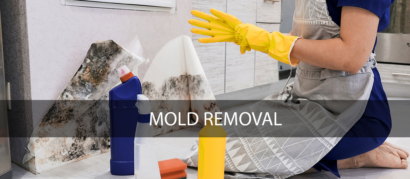 Mold Removal