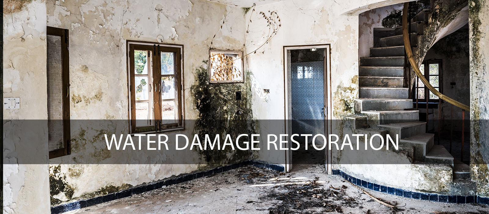 water damage repair